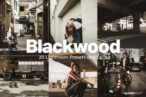 20 Blackwood Lightroom Presets LUTs - 283079253