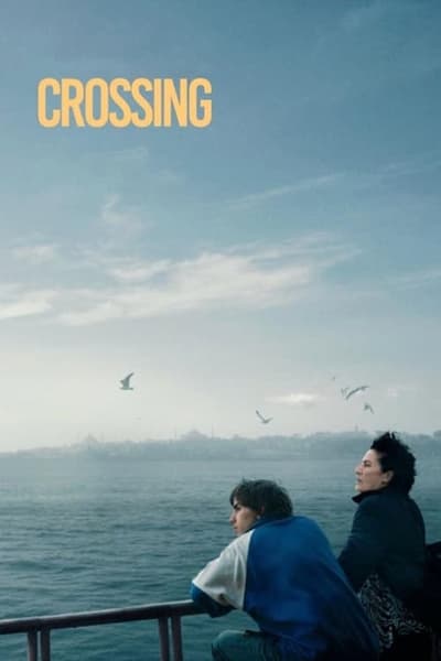 Crossing.2024.German.DL.AC3.1080p.WEB.H264-ZeroTwo