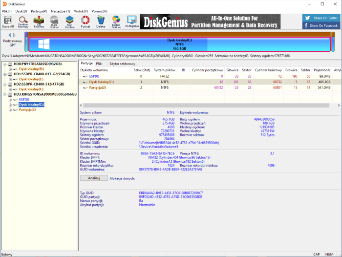 DiskGenius Professional 5.6.1.1580 MULTi-PL