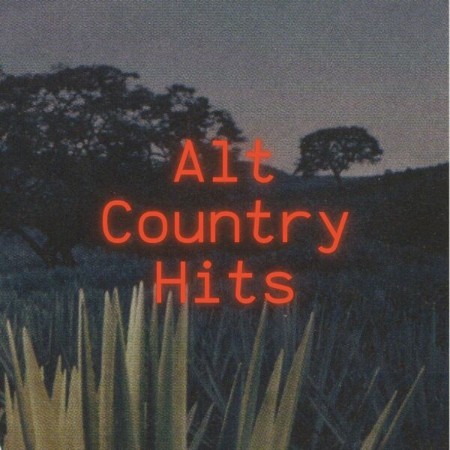 VA - Alt Country Hits 2024