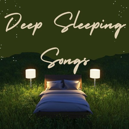 VA - Deep Sleeping Songs 2024