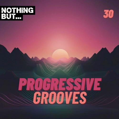 Nothing But... Progressive Grooves, Vol. 30 (2024)