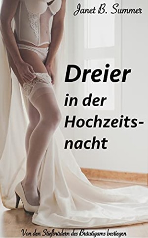 Cover: Summer, Janet B. - Dreier in der Hochzeitsnacht: Von den Stiefbr&uuml;dern des Br&auml;utigams bestiegen