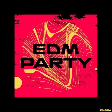 VA - EDM Party 2024