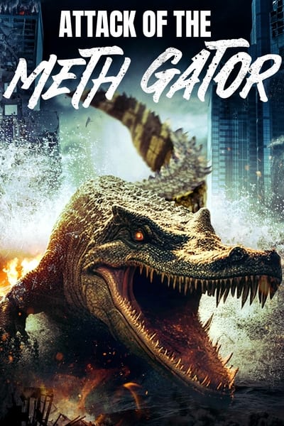 Methgator.2023.German.EAC3.1080p.WEB.H264-SiXTYNiNE