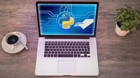 Learn Python Programming Masterclass (Update 08/2021)