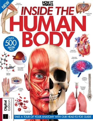 How It Works - Inside The Human Body, 13th Edition 2024