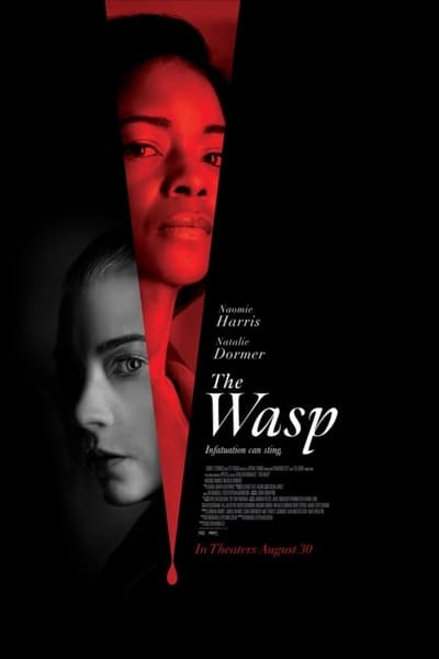 The Wasp (2024) 1080p CAM x264 COLLECTiVE Ce2b74c9746ee813c05ea73076efff9e