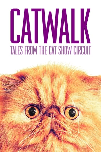 Catwalk Tales From The Cat Show Circuit (2018) 720p BluRay-LAMA E8ff9e977625882b975c7a1a238eeca9