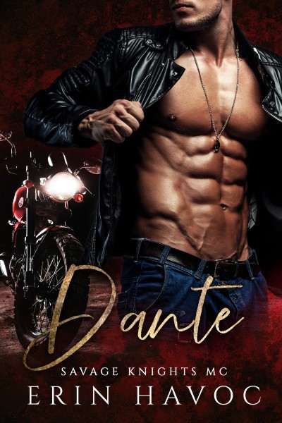 Andre: Shifter Romance - V. Vaughn