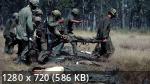   (  ) | The Vietnam War (1 /2017/BDRip/720p/1080p)