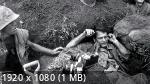   (  ) | The Vietnam War (1 /2017/BDRip/720p/1080p)