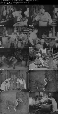 The Butcher Boy (1917) 720p BluRay-LAMA _40fda92f01c54d268d06ee0d3a6d64da