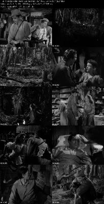 Swamp Water (1941) 720p BluRay-LAMA _e8f2430fe01cdff212de131bc268f8fa