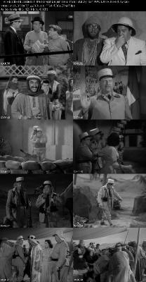 Abbott And Costello In The Foreign Legion (1950) 1080p BluRay-LAMA _5d600678a261288309eac4a1664238e8