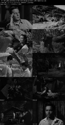 Man-Eater Of Kumaon (1948) 1080p BluRay-LAMA _643c5b0a1cf5f9789d2a9f014ea83f11