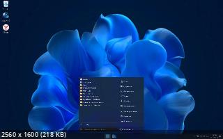 Windows X-Lite Optimum 11 23H2 Pro (22631.3371) (En/2024)