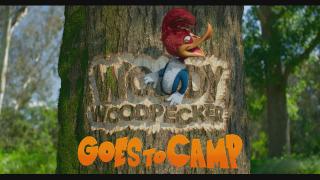      / Woody Woodpecker Goes to Camp (2024/WEB-DL/WEB-DLRip)
