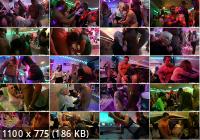 PartyHardcore/Tainster - Party Hardcore Gone Crazy Vol. 31 Part 5 (HD/720p/736 MB)