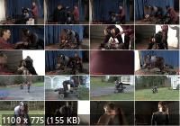 alterpic - Mobi Fuck (SD/338p/277 MB)