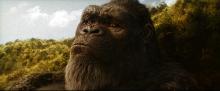   :   / Godzilla x Kong: The New Empire (2024) WEB-DLRip / WEB-DL 1080p / 4K