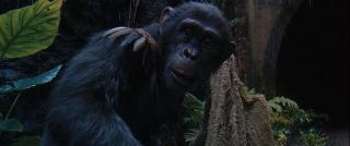  :   / Kingdom of the Planet of the Apes (2024/WEBRip)