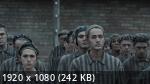    | The Tattooist of Auschwitz (1 /2024/WEB-DL/720p/1080p)