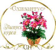 Выпуск работ Факультета " Схизантус" 51b280d6991f05ec0a54df00eb923604