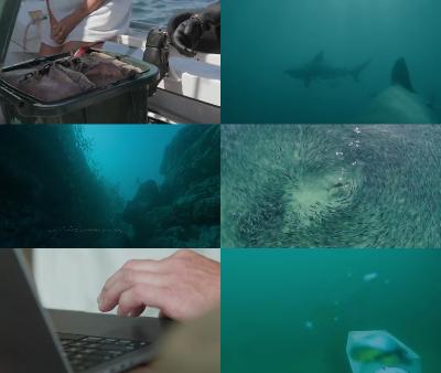 [Image: _ef47660c9ecf1ac42228edb9e4a3458d.jpeg]