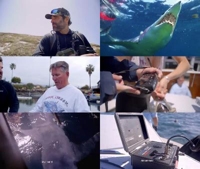 [Image: _a39aabe9f48432924d5e652988b16b95.jpeg]