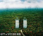 Jacek Yerka - Page 3 Ae25089502307f5f7361ce54cdfc9ec9